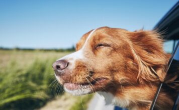 istock 1155030342 1200x630.jpg