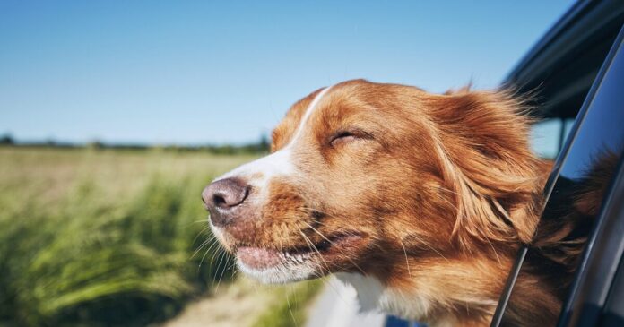 istock 1155030342 1200x630.jpg istock 1155030342 1200x630.jpg