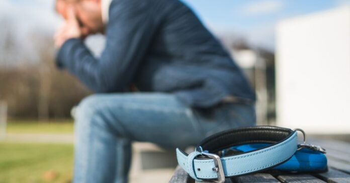 istock 1359248016 1200x630.jpg