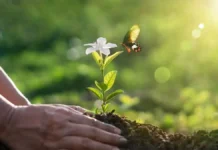 istock 1384979700 1200x675 1.webp.webp