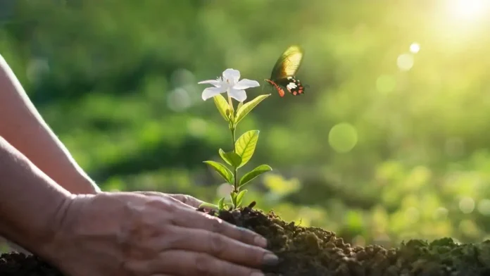 istock 1384979700 1200x675 1.webp.webp