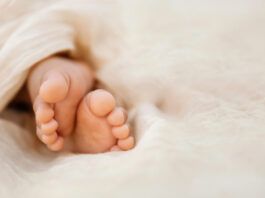 istock 1455070461 1200x630.jpg