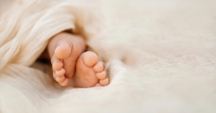 istock 1455070461 1200x630.jpg