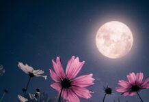 istock 1465441739 1200x630.jpg