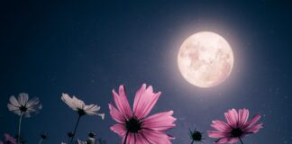 istock 1465441739 1200x630.jpg