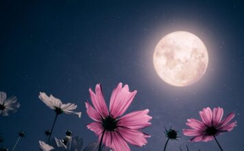 istock 1465441739 1200x630.jpg