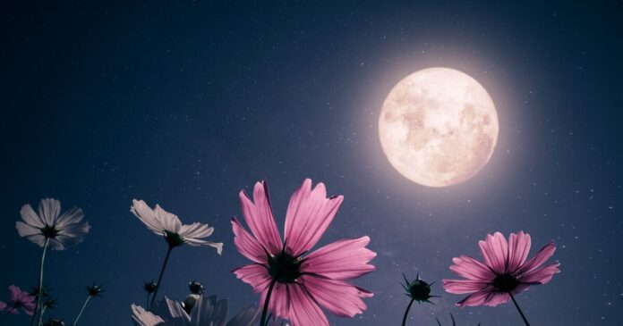 istock 1465441739 1200x630.jpg