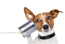 istock 148392908 1200x630.jpg