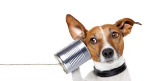 istock 148392908 1200x630.jpg