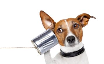 istock 148392908 1200x630.jpg