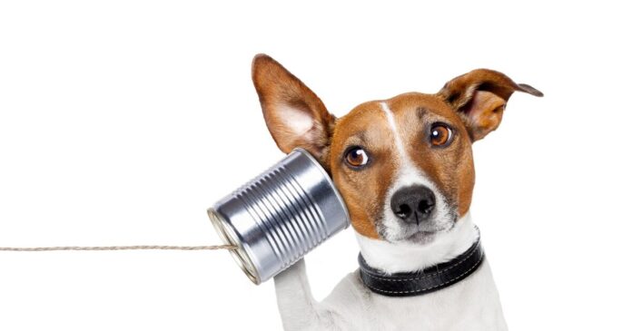 istock 148392908 1200x630.jpg