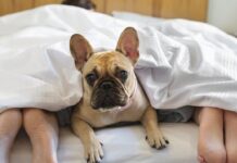 istock 166272951 1200x630.jpg