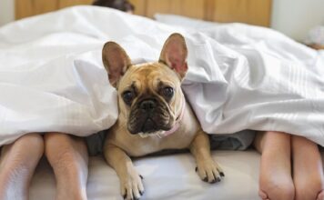 istock 166272951 1200x630.jpg