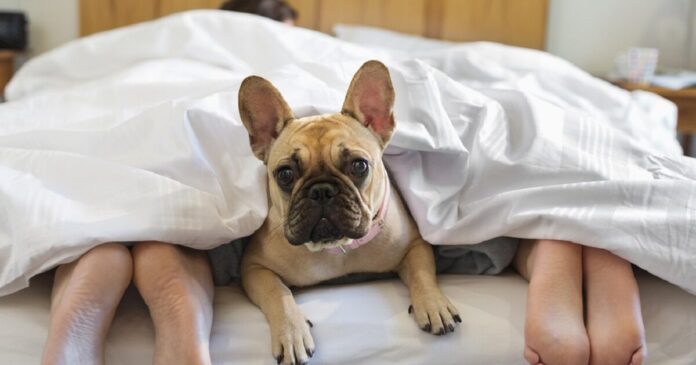 istock 166272951 1200x630.jpg