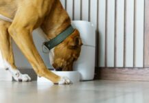 istock 2200603040 1200x630.jpg