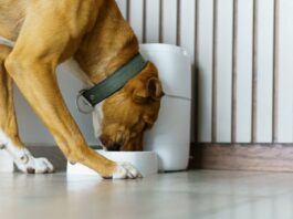 istock 2200603040 1200x630.jpg