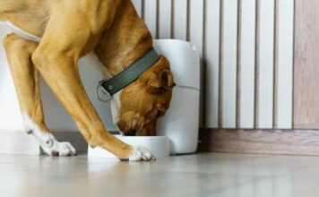 istock 2200603040 1200x630.jpg