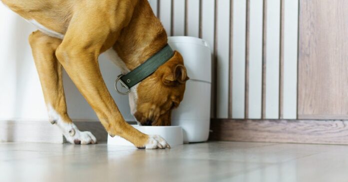 istock 2200603040 1200x630.jpg