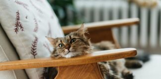 istock 2258845552 1200x630.jpg