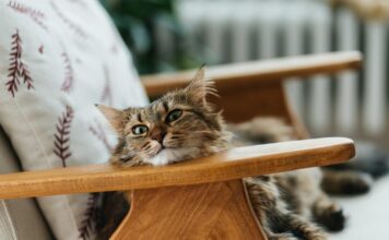 istock 2258845552 1200x630.jpg