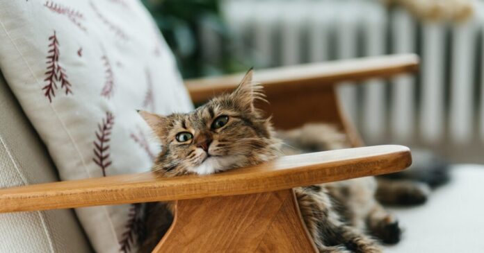 istock 2258845552 1200x630.jpg