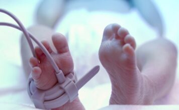 istock 494058277 1 1200x630.jpg