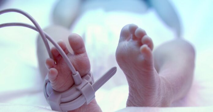 istock 494058277 1 1200x630.jpg