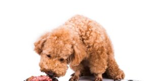 istock 508059198 1200x630.jpg