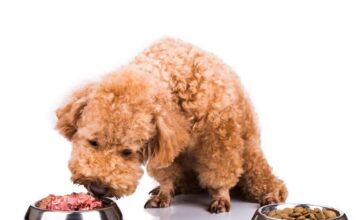 istock 508059198 1200x630.jpg