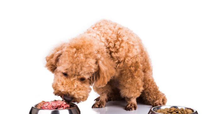 istock 508059198 1200x630.jpg istock 508059198 1200x630.jpg