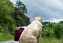 istock 973112458 1200x630.jpg