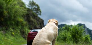 istock 973112458 1200x630.jpg