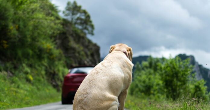 istock 973112458 1200x630.jpg