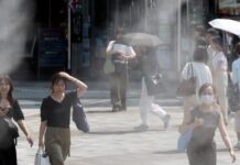 japan kausonas apempe 1200x630.jpg