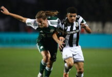 jedvaj taison 1200x630.jpg