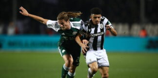 jedvaj taison 1200x630.jpg