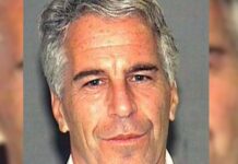 jeffrey epstein ape 1 1200x630.jpg