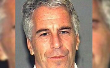 jeffrey epstein ape 1 1200x630.jpg