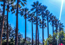 kairos 07042026 1200x630.jpg