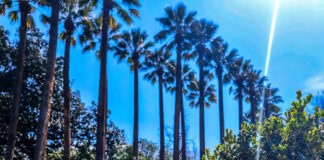 kairos 07042026 1200x630.jpg