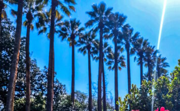 kairos 07042026 1200x630.jpg