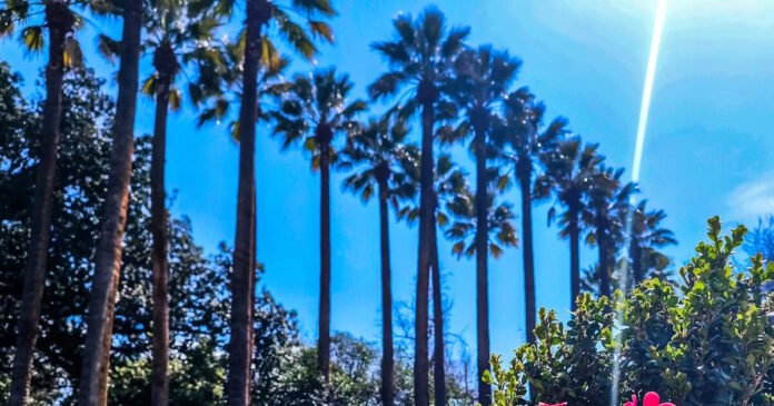 kairos 07042026 1200x630.jpg