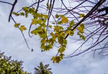 kairos 1 1200x630.jpg