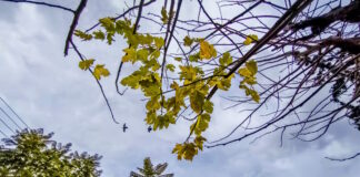 kairos 1 1200x630.jpg