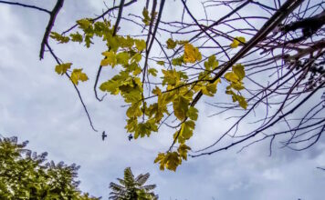 kairos 1 1200x630.jpg