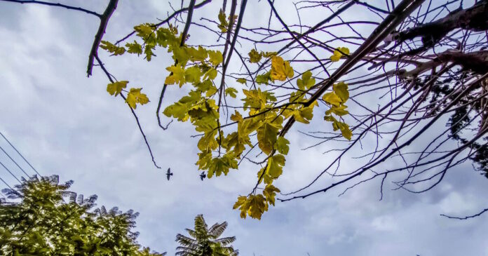 kairos 1 1200x630.jpg