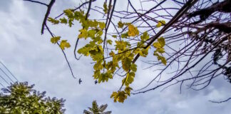 kairos 2 1 1200x630.jpg