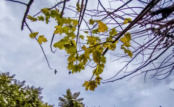 kairos 2 1 1200x630.jpg