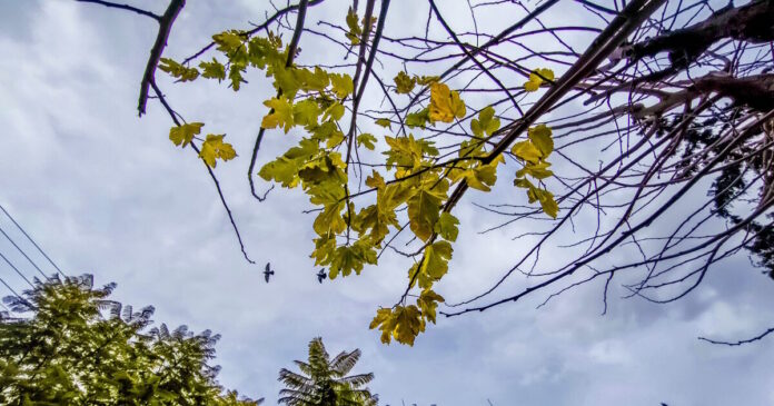 kairos 2 1 1200x630.jpg kairos 2 1 1200x630.jpg