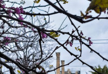 kairos 3 2 1200x630.jpg